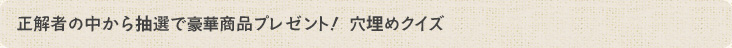 正解者の中から抽選で豪華商品プレゼント！ 穴埋めクイズ